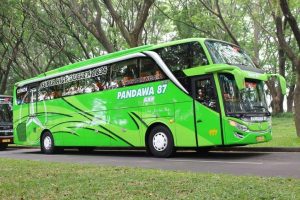 Bus Pandawa 87 Seat 40 