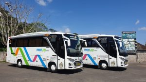 Bus Medium Travelink 30 Seat 