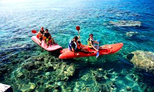 Private Tour
