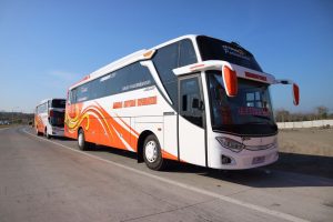 Bus Mega Citra 40 Seat
