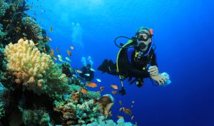Diving di Nusa Dua Bali