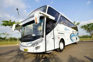 Bus Marjaya Trans 50 Seat