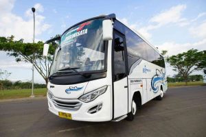 Bus Marjaya Trans 30 Seat