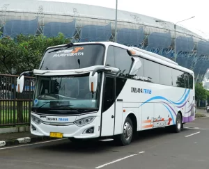 Bus Trijaya Trans 50 Seat