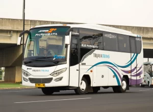 Bus Medium Trijaya 30 Seat